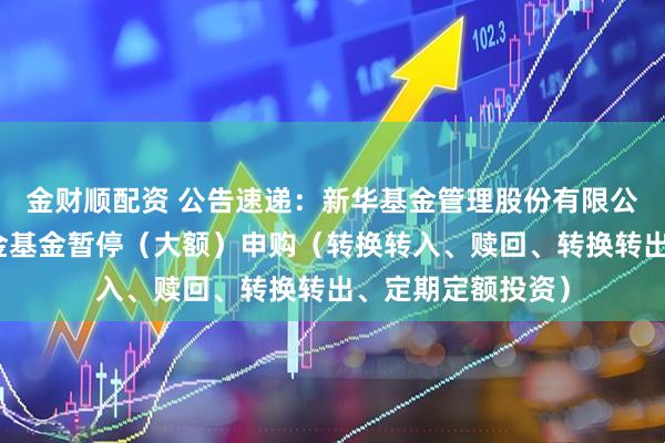 金财顺配资 公告速递：新华基金管理股份有限公司新华利率债基金基金暂停（大额）申购（转换转入、赎回、转换转出、定期定额投资）