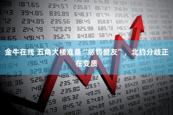 金牛在线 五角大楼准备“惩罚盟友”，北约分歧正在变质
